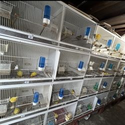 Wood Bird Cage 