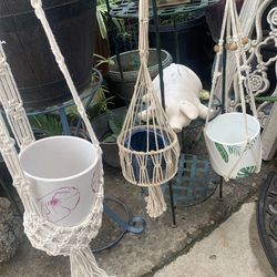 3 plant racks  3x25  cash