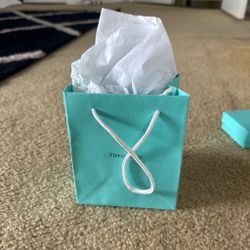 Tiffany & Co. Small Gift Bag with Tissue Paper