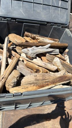 Driftwood