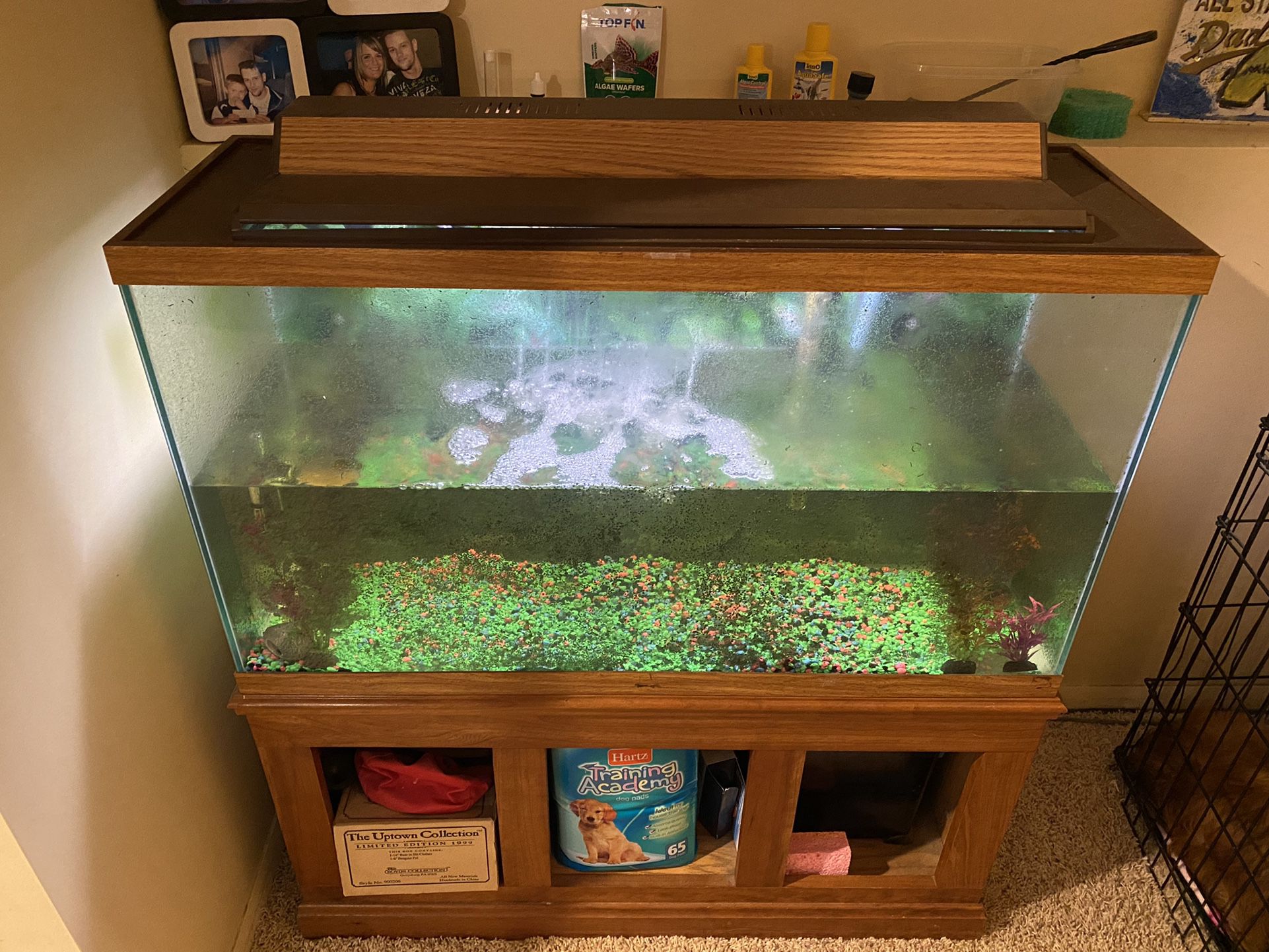 50 Gal Fish Tank With Accessories