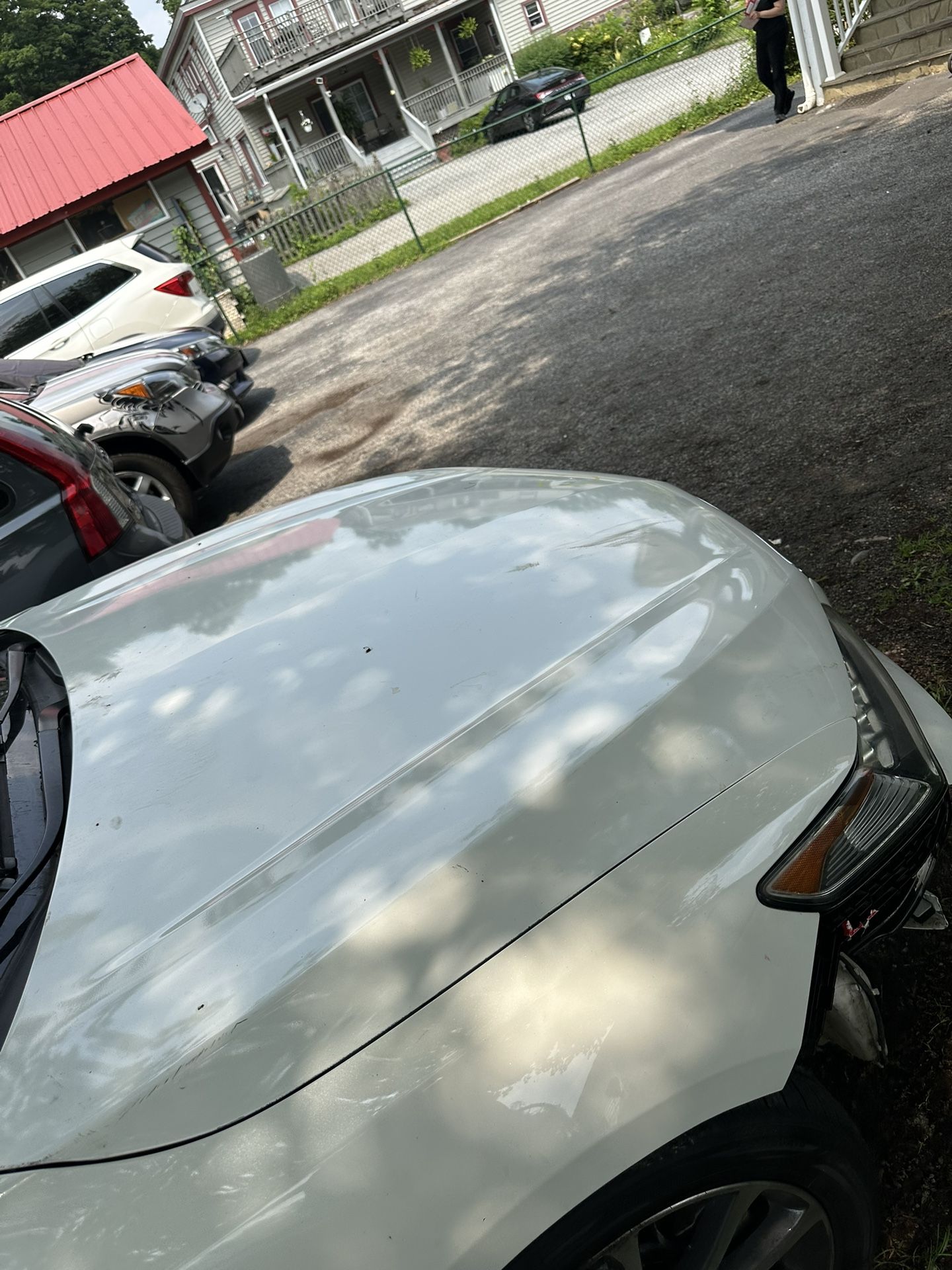 2015-2017 Acura TLX White Hood