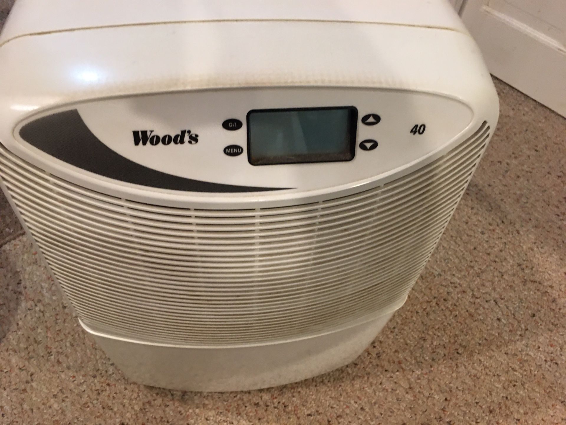 Woods Dehumidifier