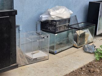 Fish Aquarium Package