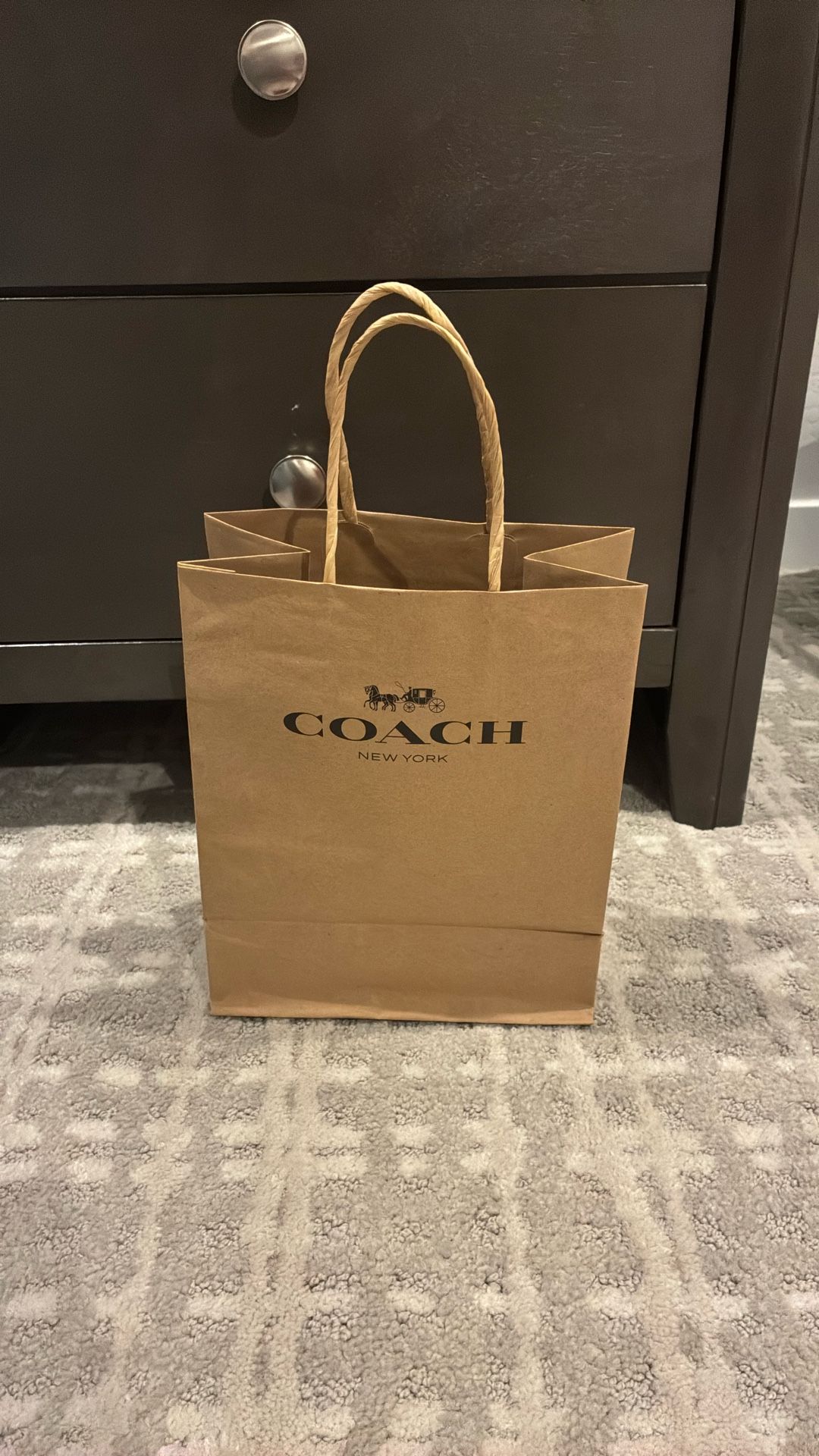 Brown Paper Coach Bag 