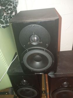 Dynaudio Speaker
