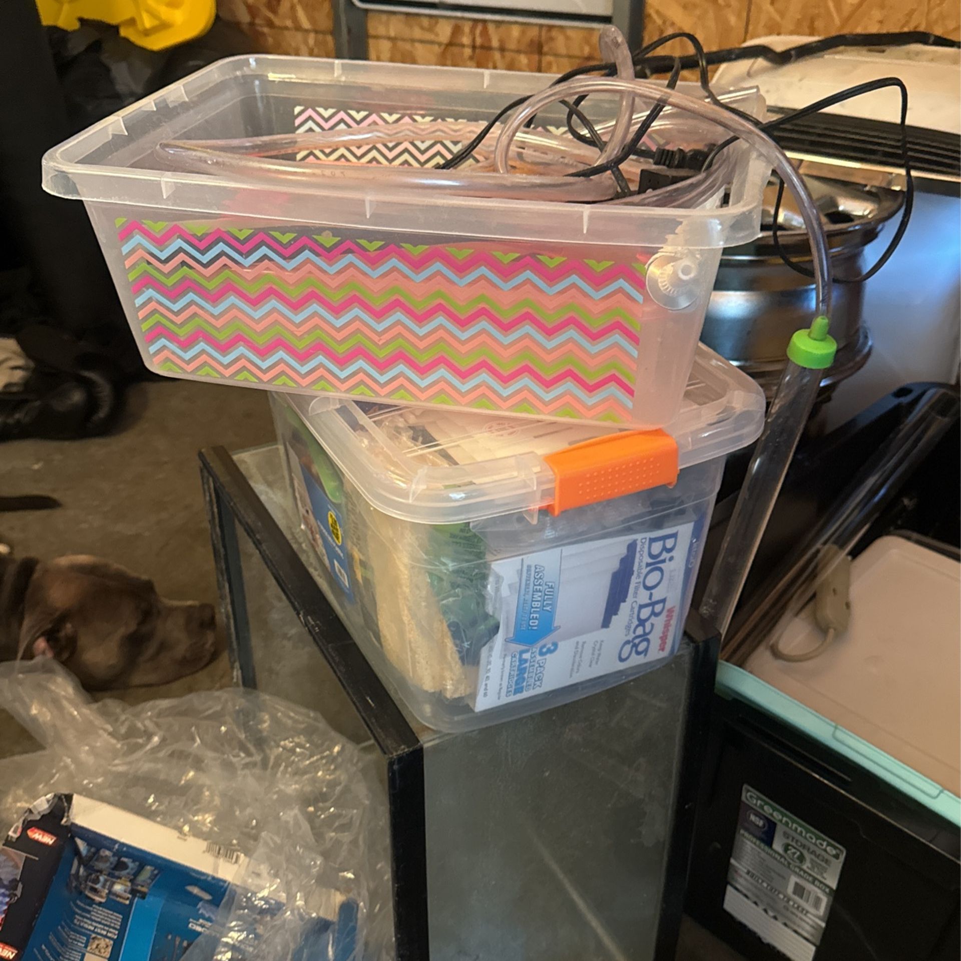 Free Aquarium Supplies
