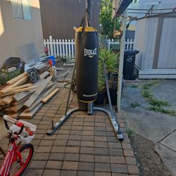 punching bag
