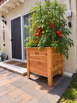 Raised 2’x2’ Cedar Wood Planter