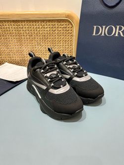 Dior B 22