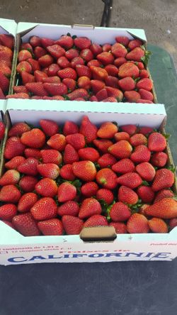 Picked fresh in the morning today..$35 a full box