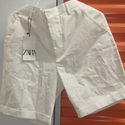 Zara Short Pants Size Large 