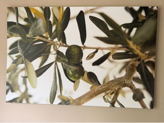 Canvas print coffee bean tree
