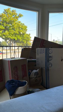 Moving Boxes -FREE