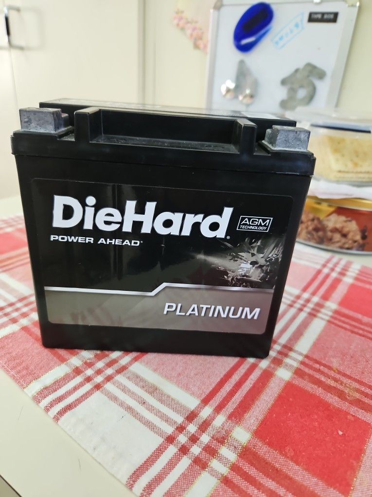 Battery Platinum, 200 Cold Cranking Aux14_1