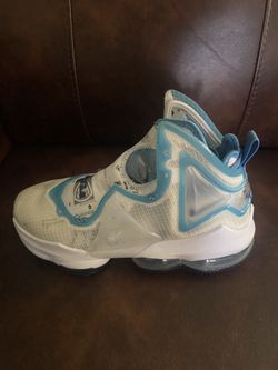 Lebron Nike Space Jam