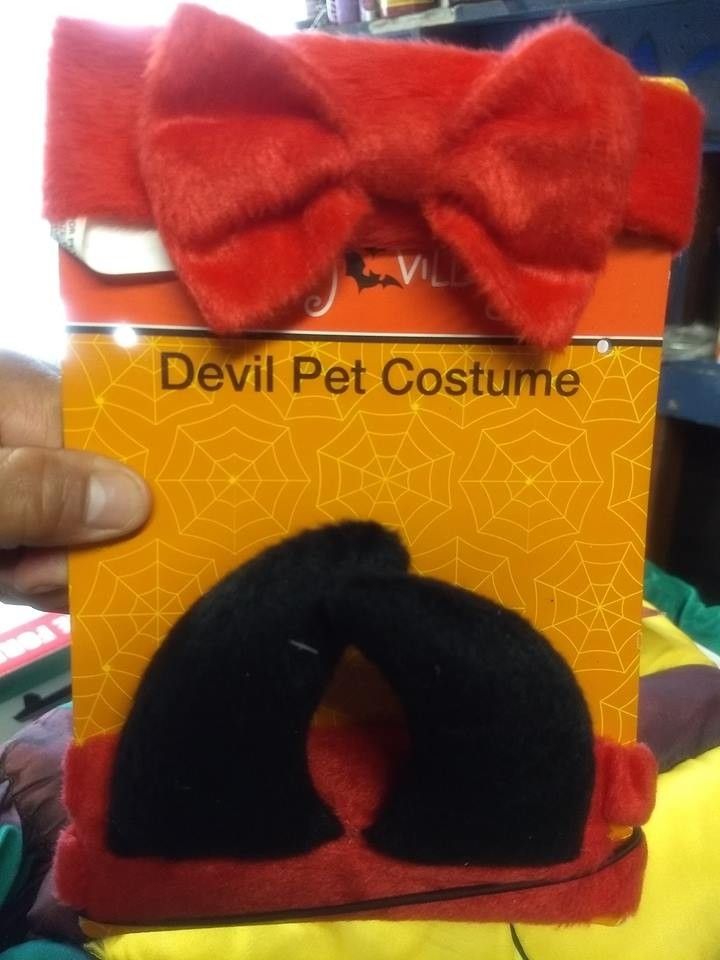 Devil Pet Halloween Costume π