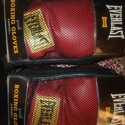 Everlast Youth  Boxing Gloves X2
