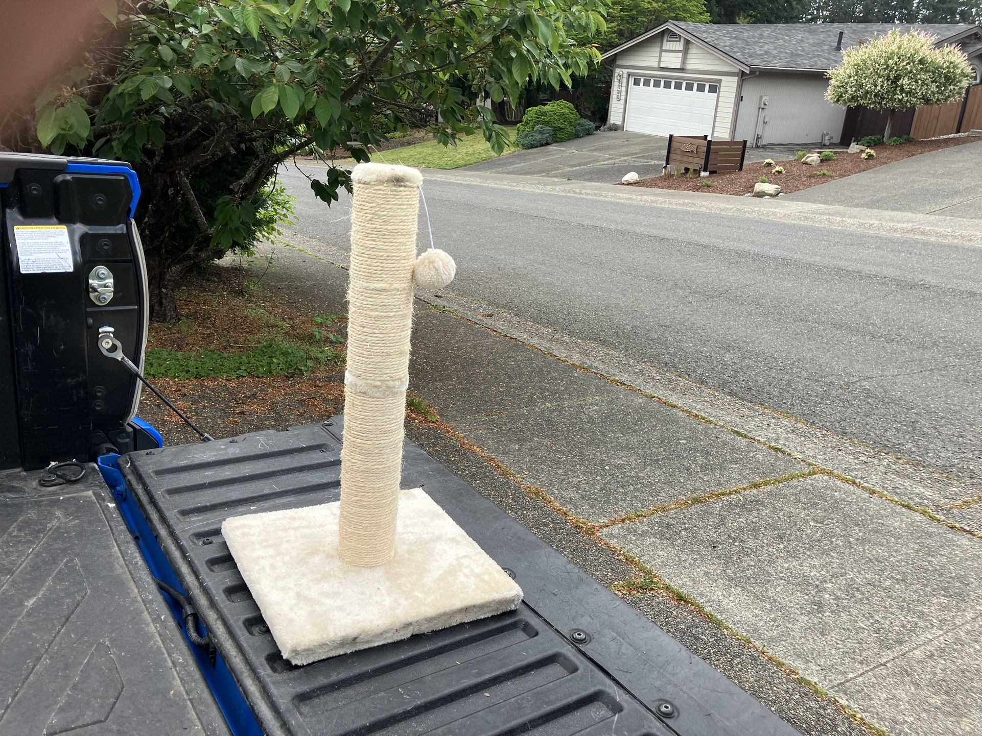 Cat Kitty Scratching Scratch Post Cat Kitty Tree Like New