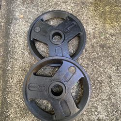 Pair Of 25 LB Olympic Plates 2” Hole 