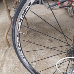 Chimano Ultegra 10 Speedd. Full Carbon
