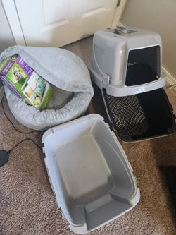 Cat items