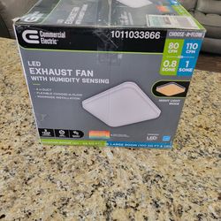 Bathroom fan with light