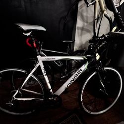 Schwinn Bicycle