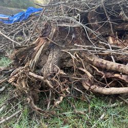 WILLING TO PAY - Dump Site For Debris Near Eugene