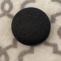 Google Nest Mini