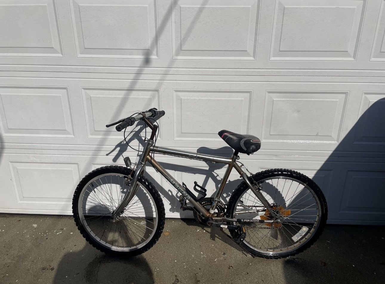 Magna 15 Speed Bike