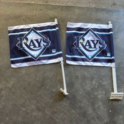 Tampa Bay Rays Window Flags