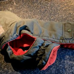Dog Jacket 