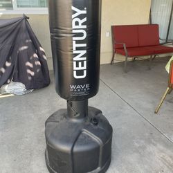 Punching Bag.        60 Dollars 