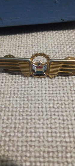 Gold-Tone Aviation Wings Pin with Enamel Crest