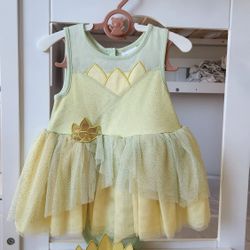 Tiana Disney dress (18-24M)