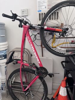 Diamondback Mountain Bike