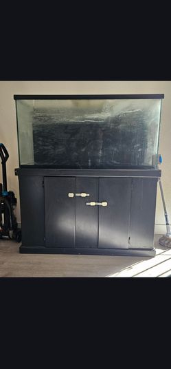 55 Gallon Fish Tank