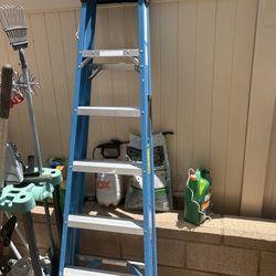 Werner 6ft Ladder Blue