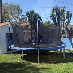 Trampoline