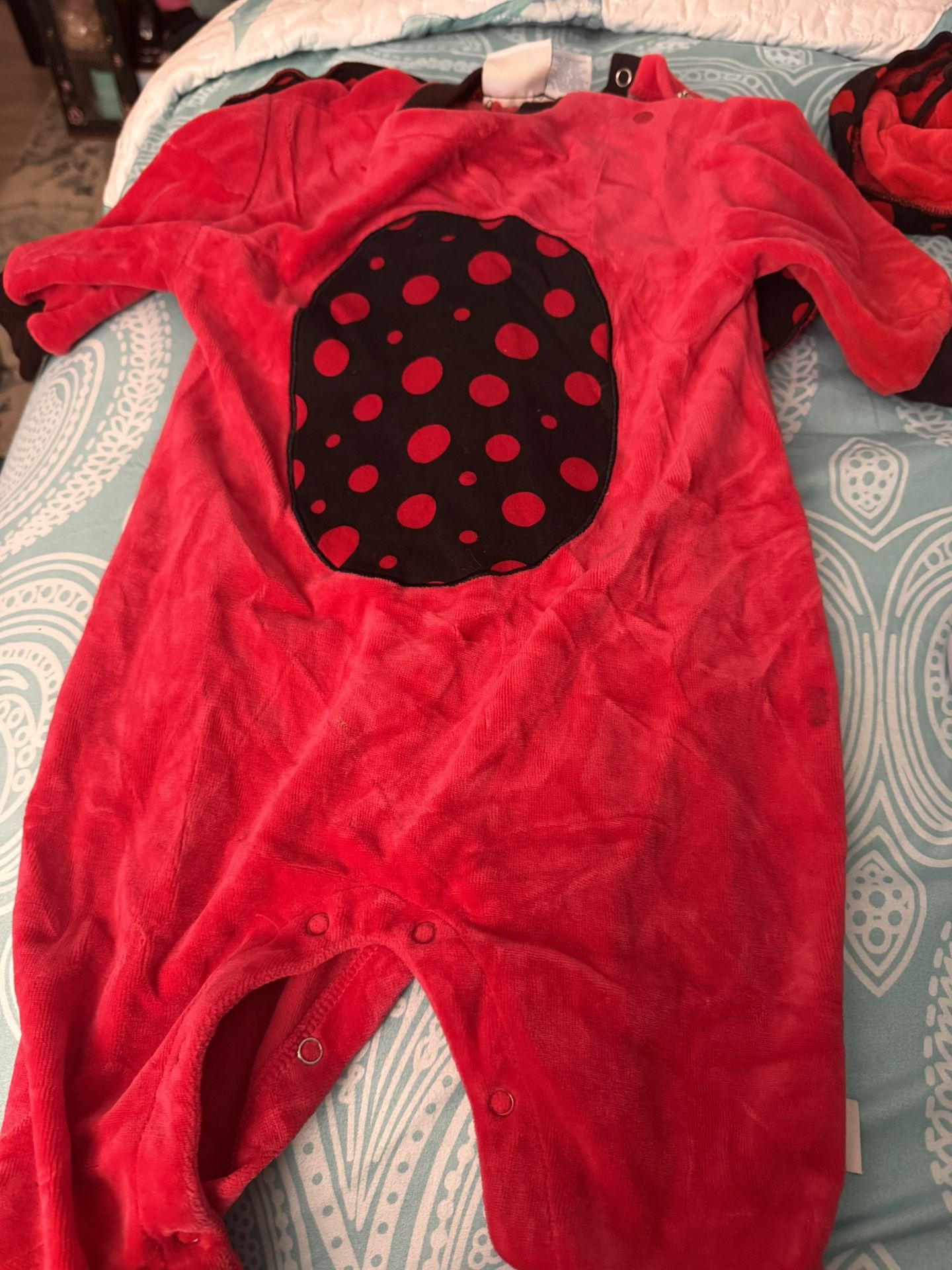 Costume infant size in pictures ladybug