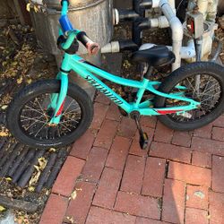 Specialized Kids Bicycle 