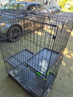 Ferret/bird cage