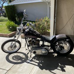 Custom Hard Tail Cruiser