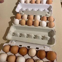 Farm Raised Eggs
