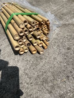 8 Feet Bamboo Stakes