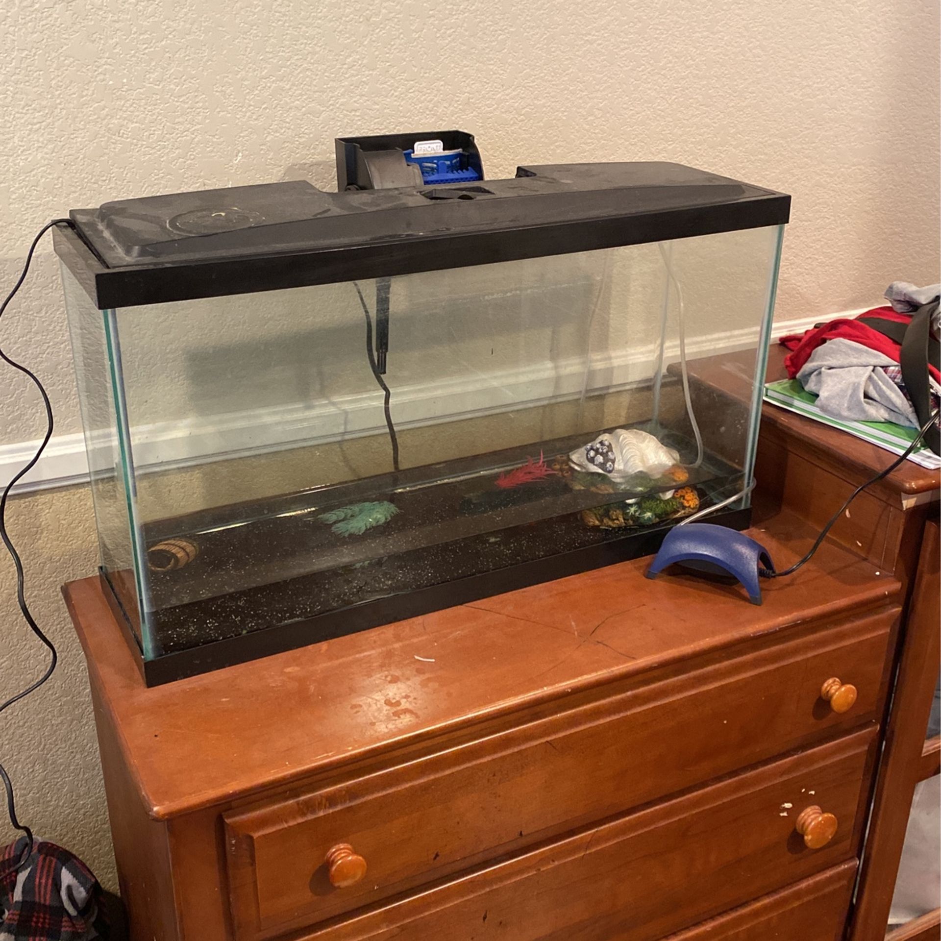 20 Gallon Aquarium
