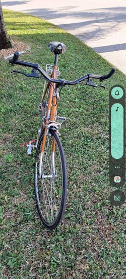 Bortolamie Road Bike 