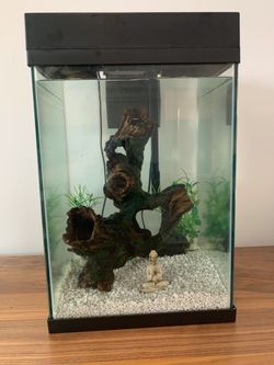 Fish tank, filter, rocks, and everything u see here