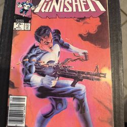 The Punisher Limited Series (1986) #5